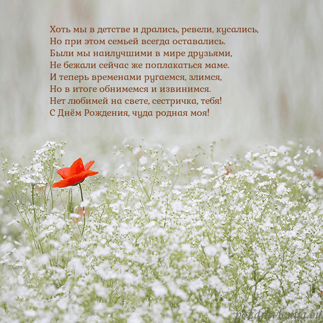 Электронная открытка с белыми цветами