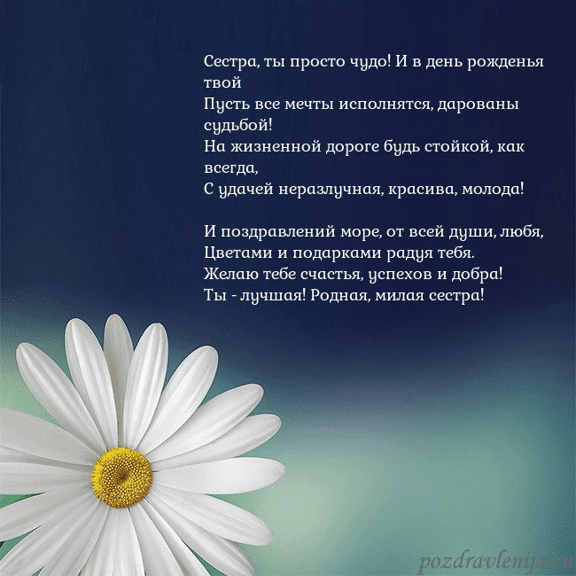 Открытка с большой ромашкой