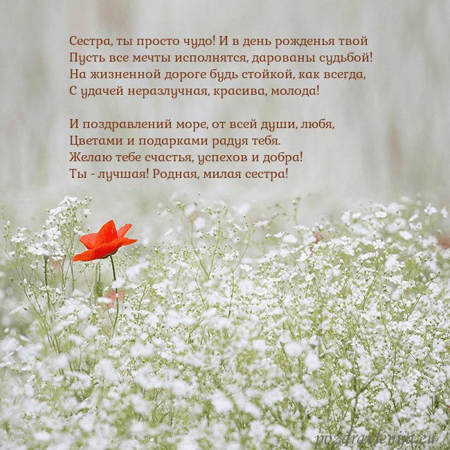 Электронная открытка с белыми цветами