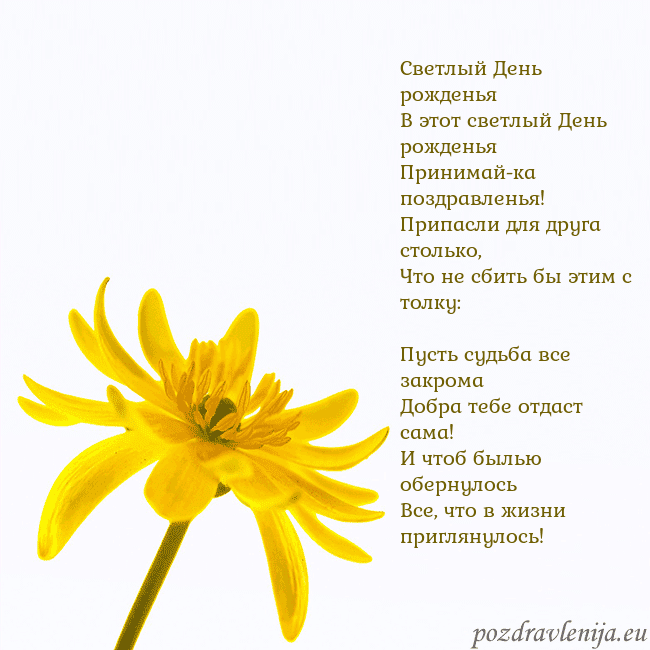 Открытка с желтым цветком