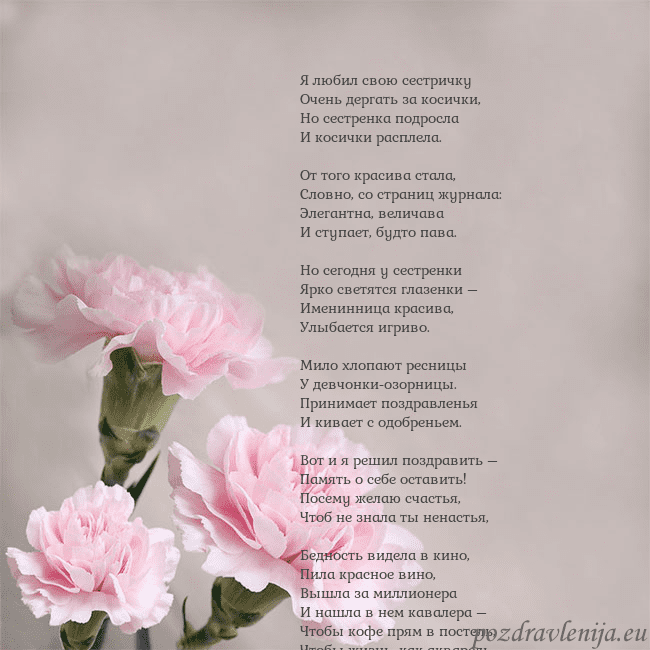 Открытка с розовыми гвоздиками Я любил свою сестричку
Очень дергать за косички,
Н Открытка с розовыми гвоздиками