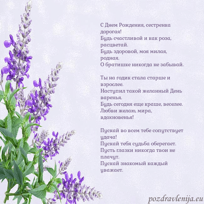 Открытка с люпинами