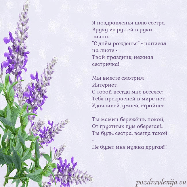 Открытка с люпинами