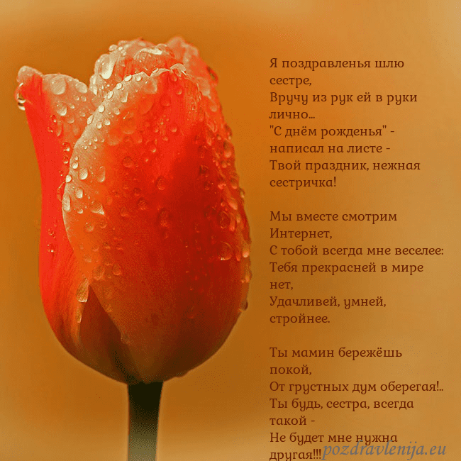 Открытка с красным тюльпаном