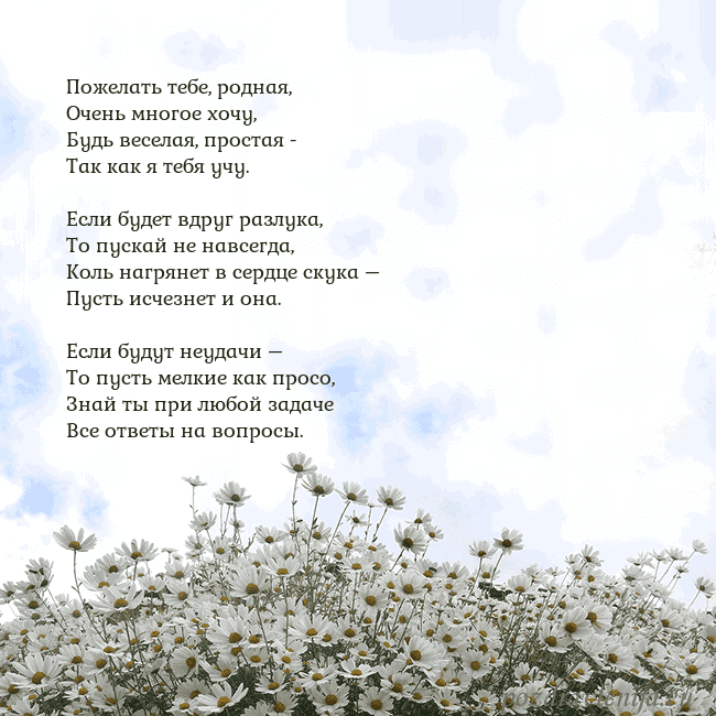 Открытка с ромашками