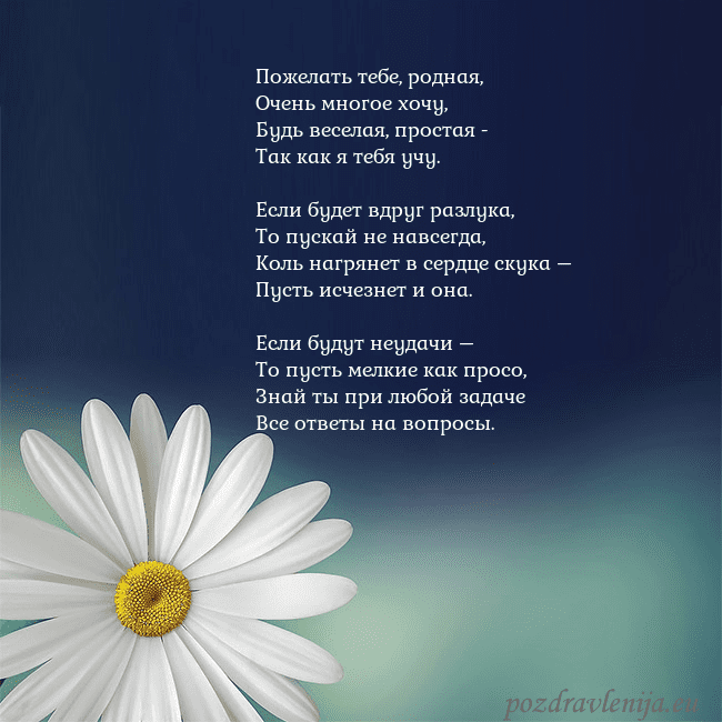 Открытка с большой ромашкой