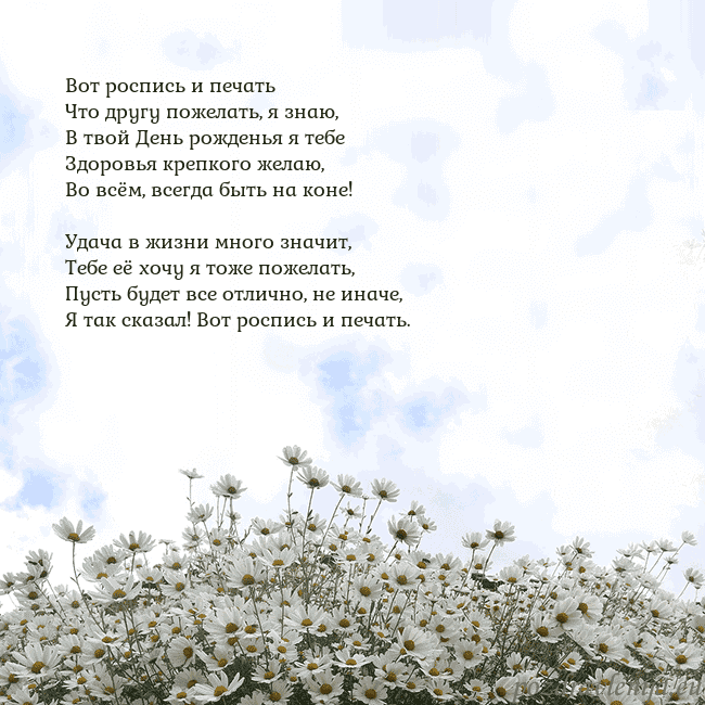 Открытка с ромашками