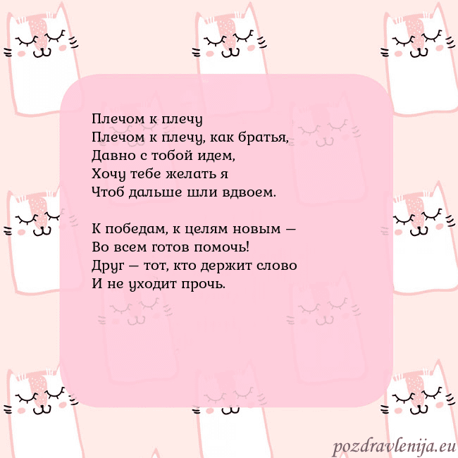 Розовая открытка с забавными кошками