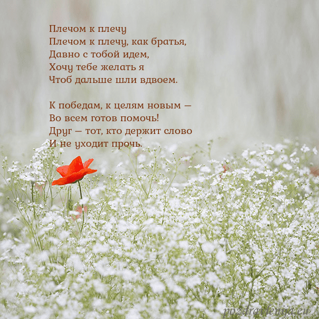 Электронная открытка с белыми цветами