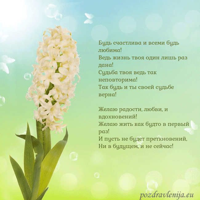 Открытка с гиацинтом