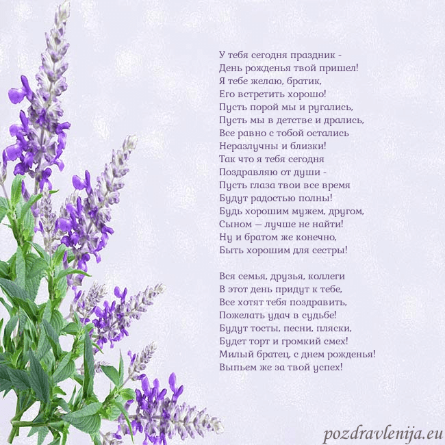 Открытка с люпинами