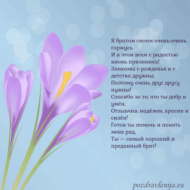 Открытка с крокусом
