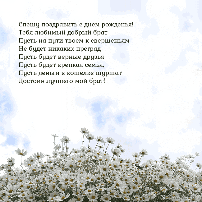 Открытка с ромашками