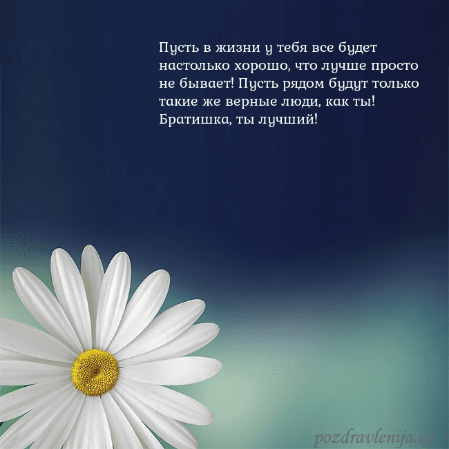 Открытка с большой ромашкой