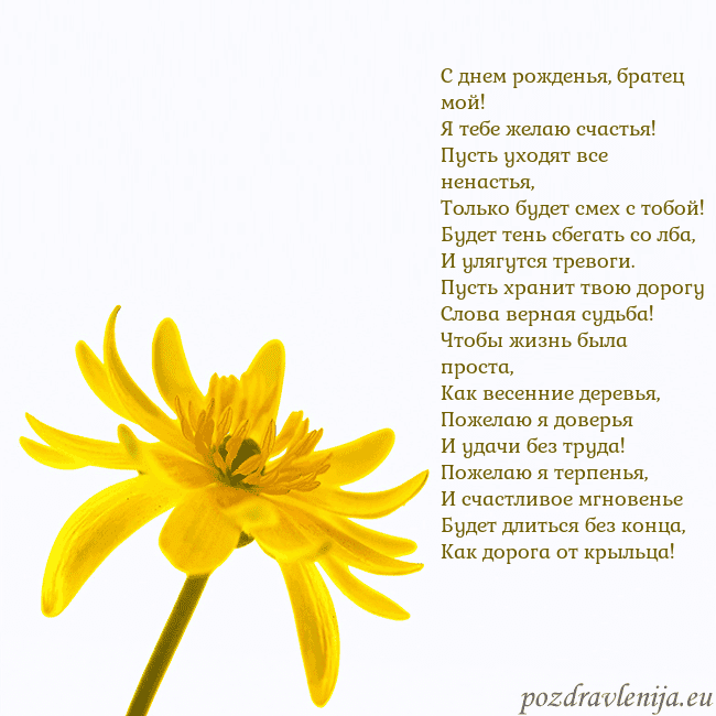 Открытка с желтым цветком