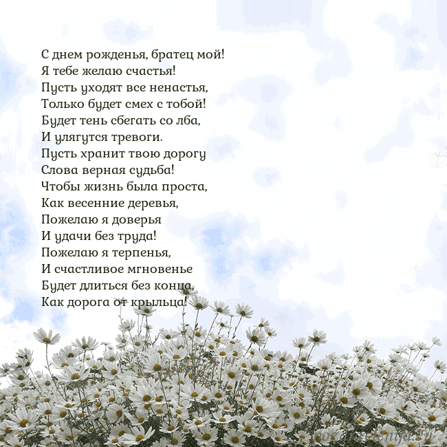 Открытка с ромашками