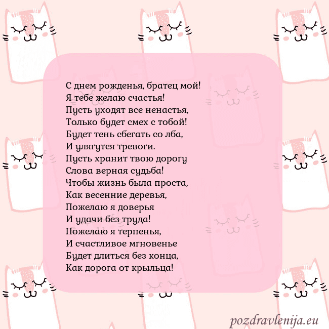 Розовая открытка с забавными кошками