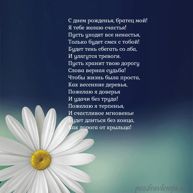 Открытка с большой ромашкой