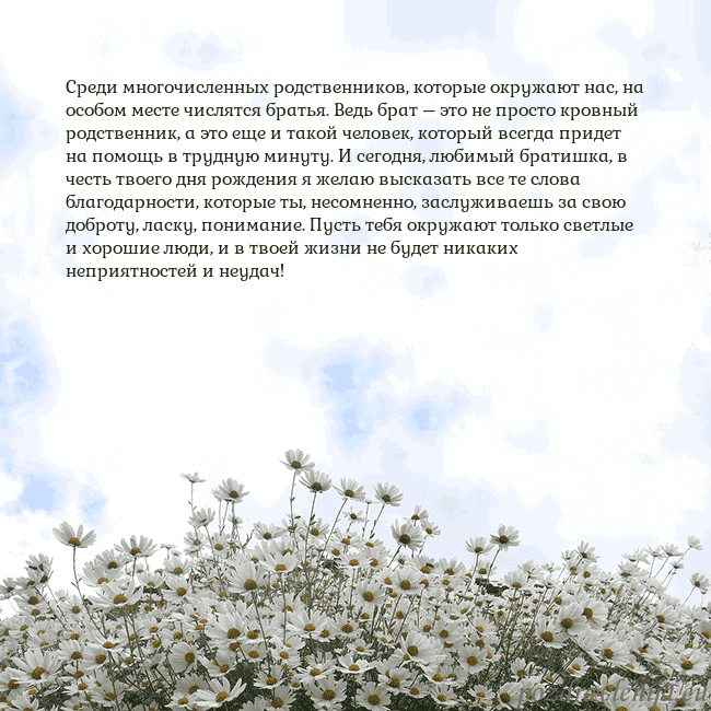 Открытка с ромашками