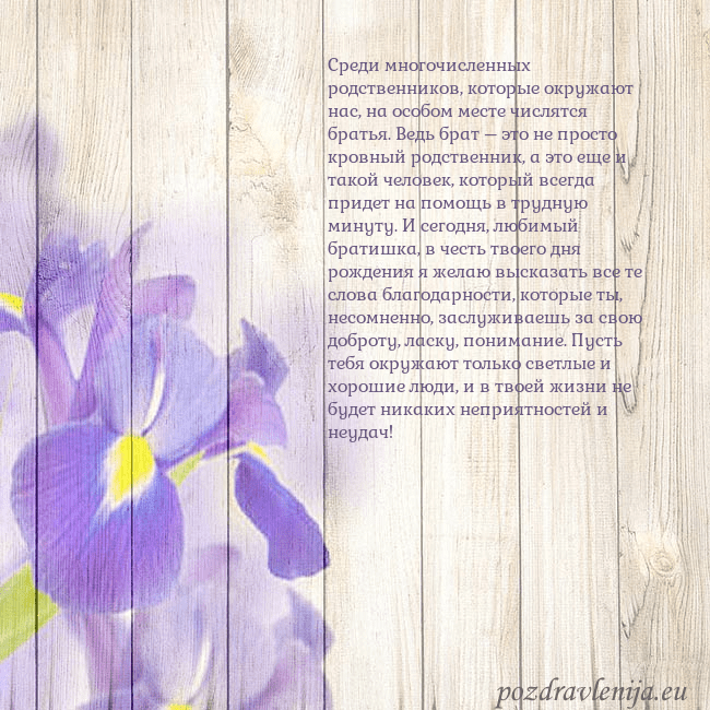 Открытка с ирисами