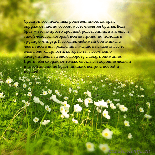 Электронная открытка с утопающим в солнечном свете лугом