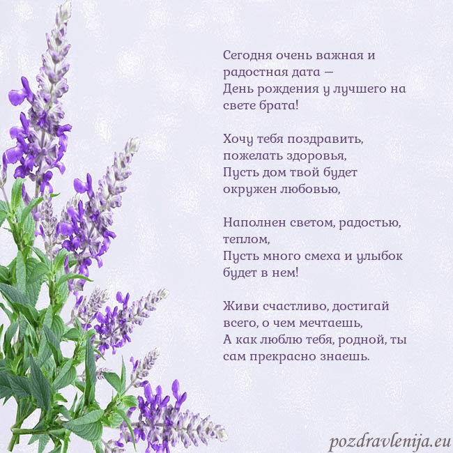 Открытка с люпинами