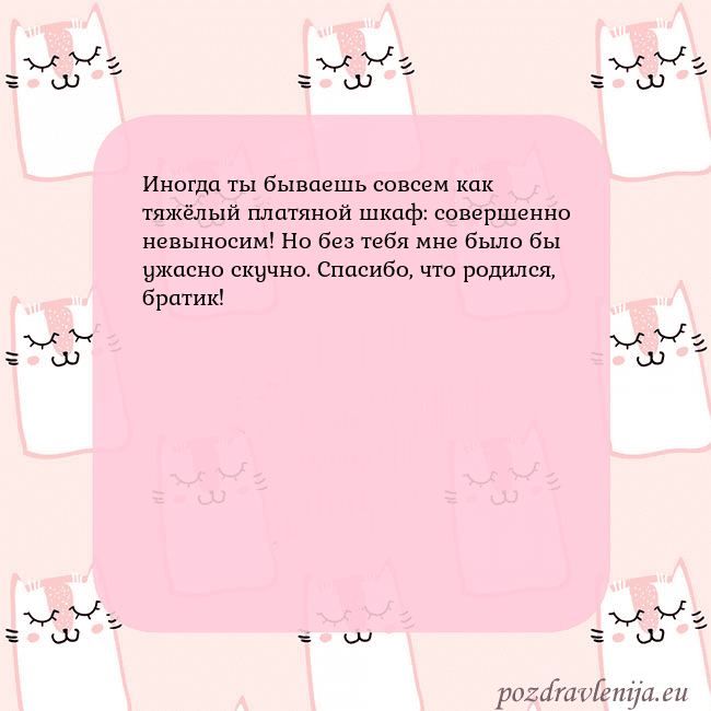 Розовая открытка с забавными кошками