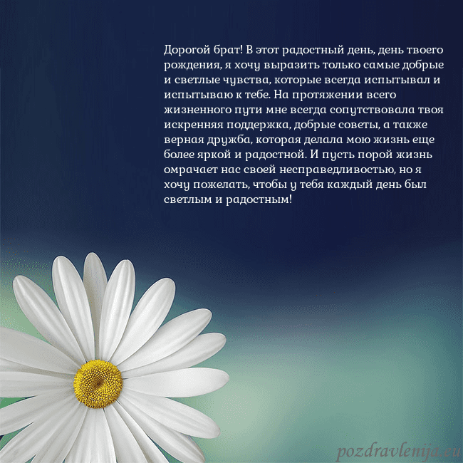 Открытка с большой ромашкой