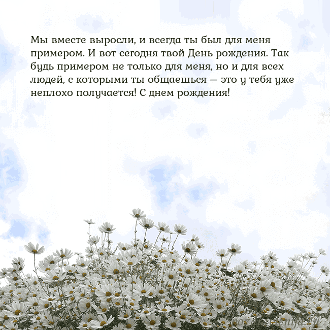 Открытка с ромашками