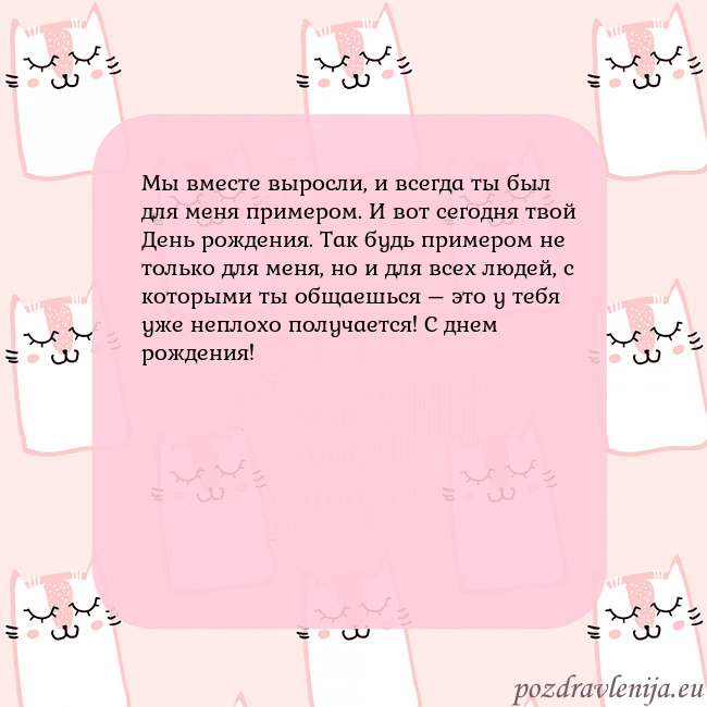 Розовая открытка с забавными кошками