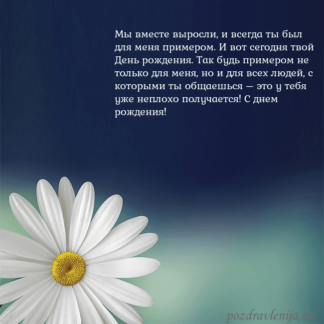 Открытка с большой ромашкой