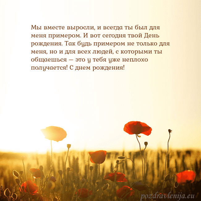 Электронная открытка с полем маков