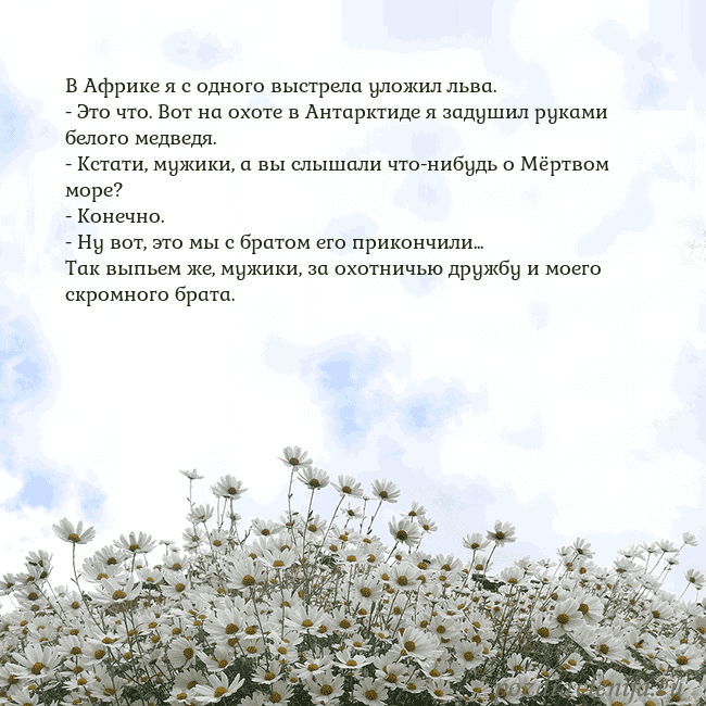 Открытка с ромашками