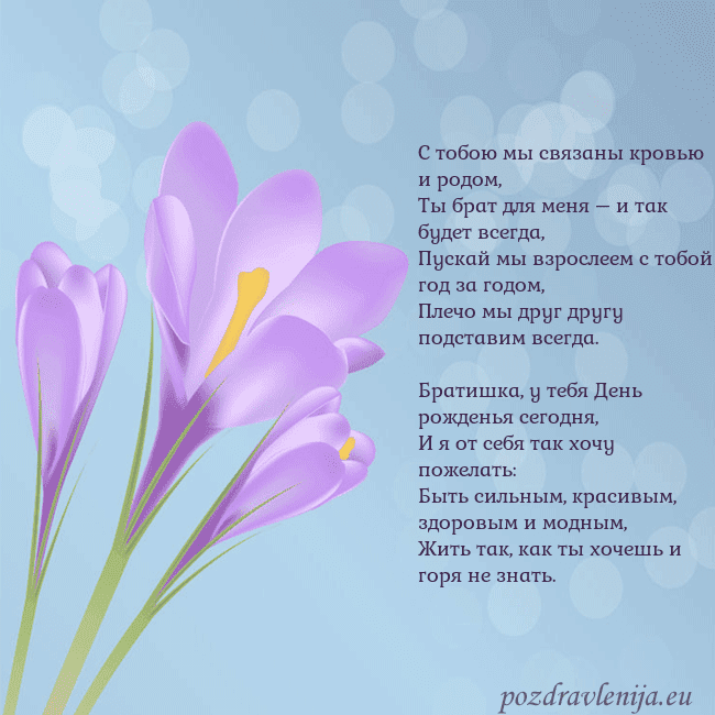 Открытка с крокусом