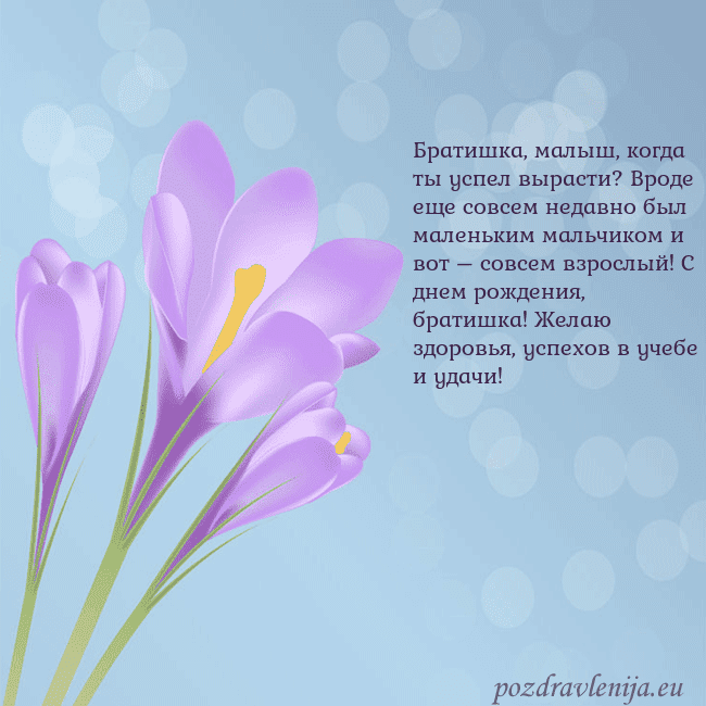 Открытка с крокусом