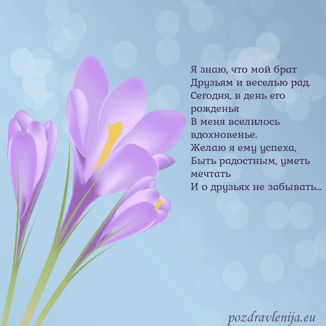 Открытка с крокусом