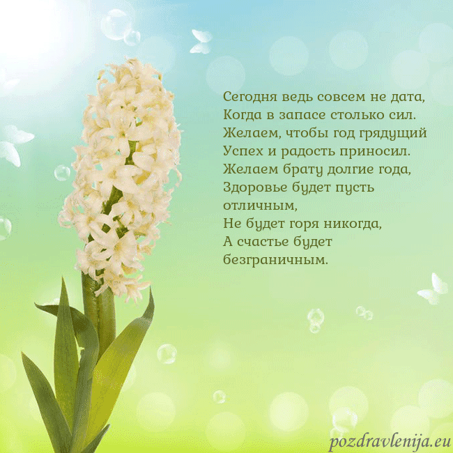 Открытка с гиацинтом