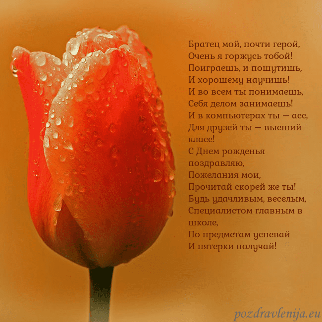 Открытка с красным тюльпаном
