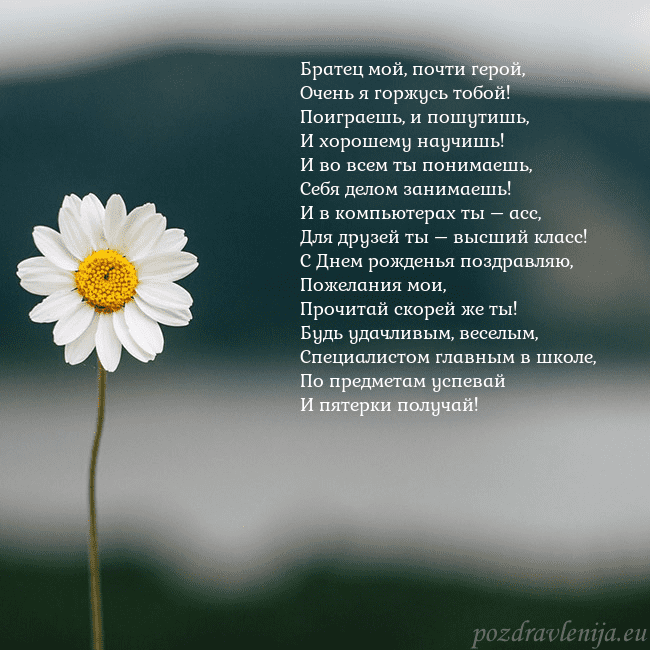 Электронная открытка с ромашкой