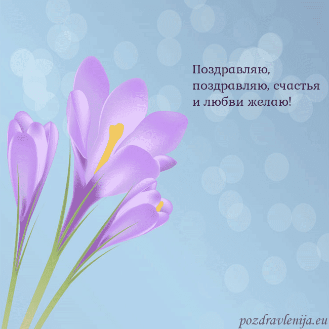 Открытка с крокусом