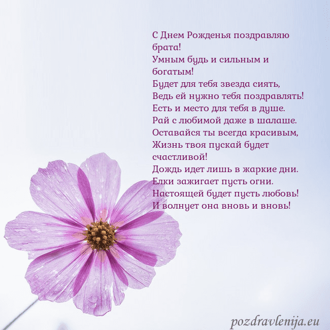 Электронная открытка с фиолетовым цветком