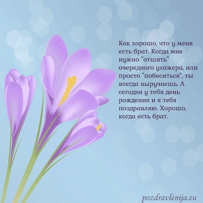 Открытка с крокусом