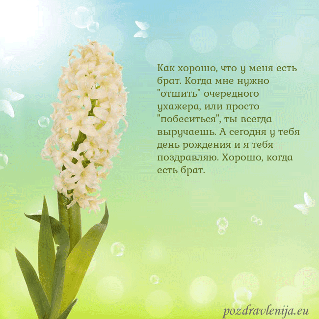 Открытка с гиацинтом