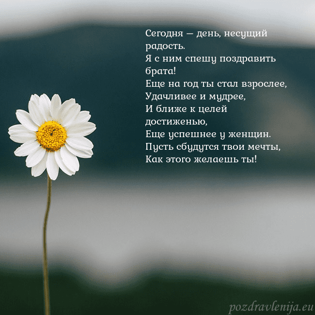 Электронная открытка с ромашкой