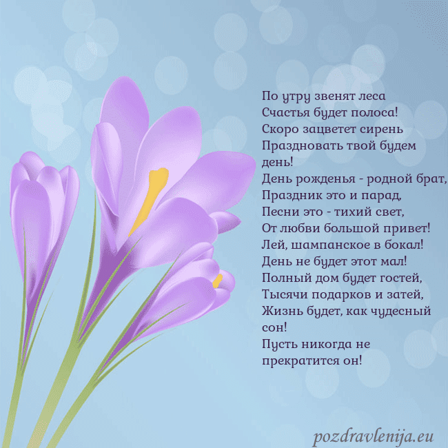 Открытка с крокусом