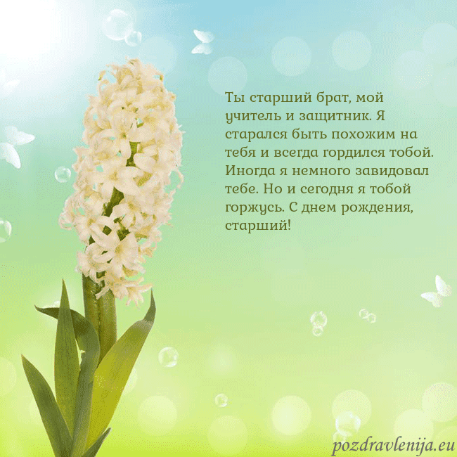 Открытка с гиацинтом