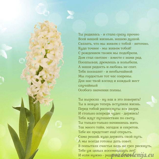 Открытка с гиацинтом Ты родилась - и стала сразу прочно
Всей нашей жизн Открытка с гиацинтом