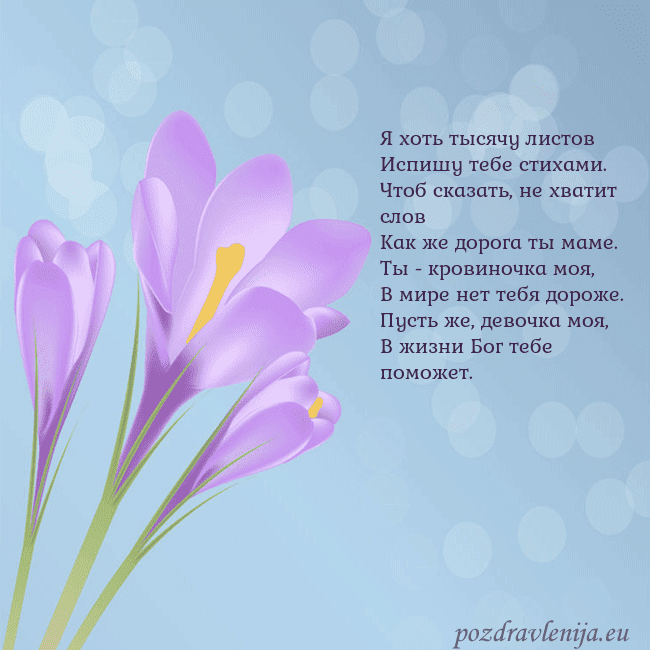 Открытка с крокусом