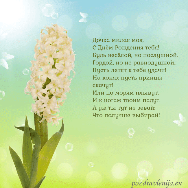 Открытка с гиацинтом