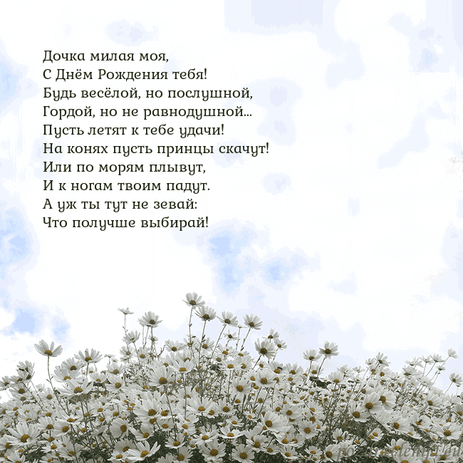 Открытка с ромашками